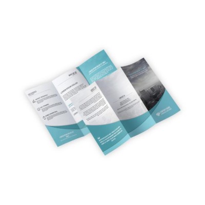 Triple Fold Brochure
